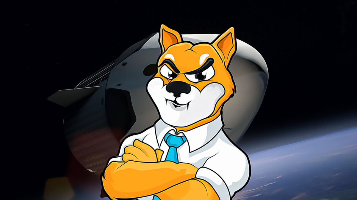 Shiba Inu Ekosisteminde Yaşanan Değişimler ve Topluluk Hareketleri