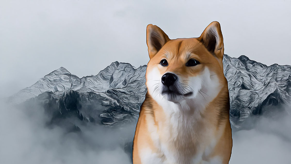 Shiba Inu Piyasasındaki Dalgalanmalar ve Yatırımcı Beklentileri