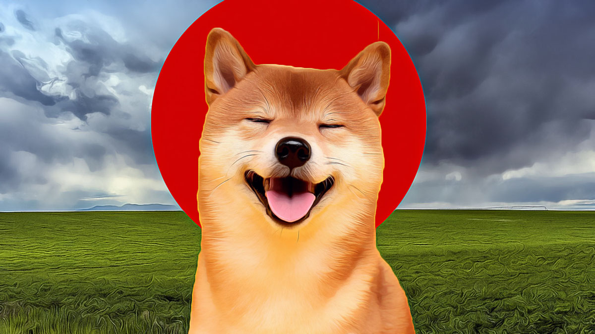 Shiba Inu’da Kritik Dönüşüm Sinyalleri