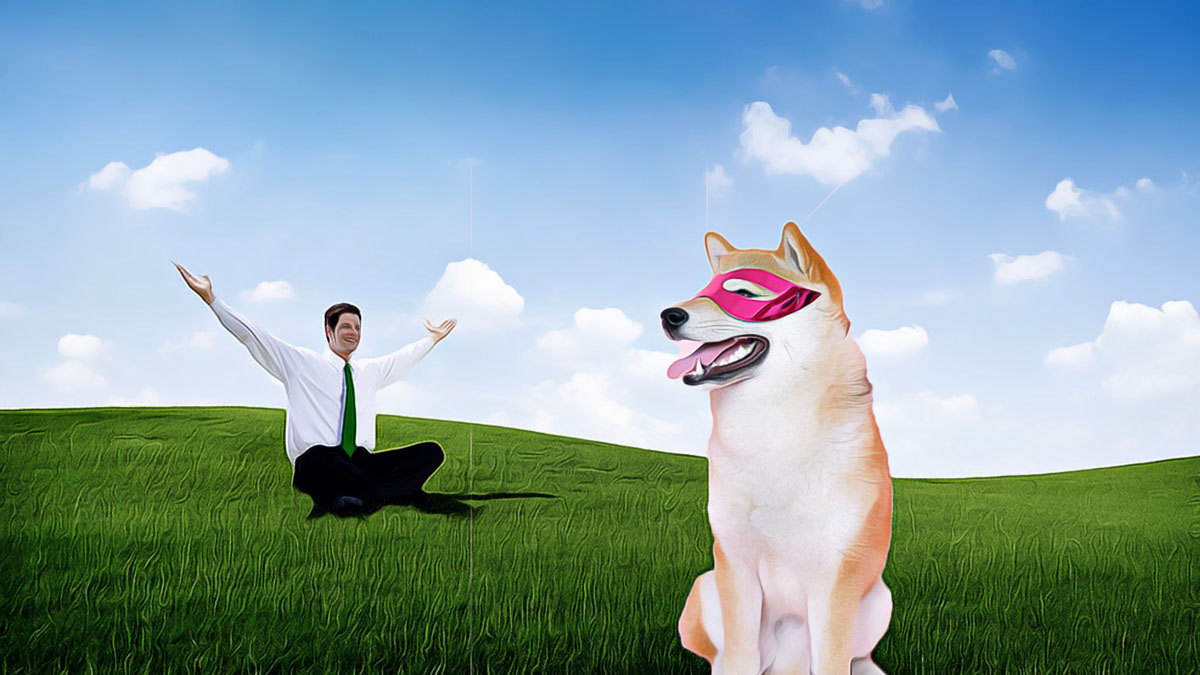 Shiba Inu’nun Memecoin Piyasasındaki Yeri: Geleceği Belirsizlik İçinde